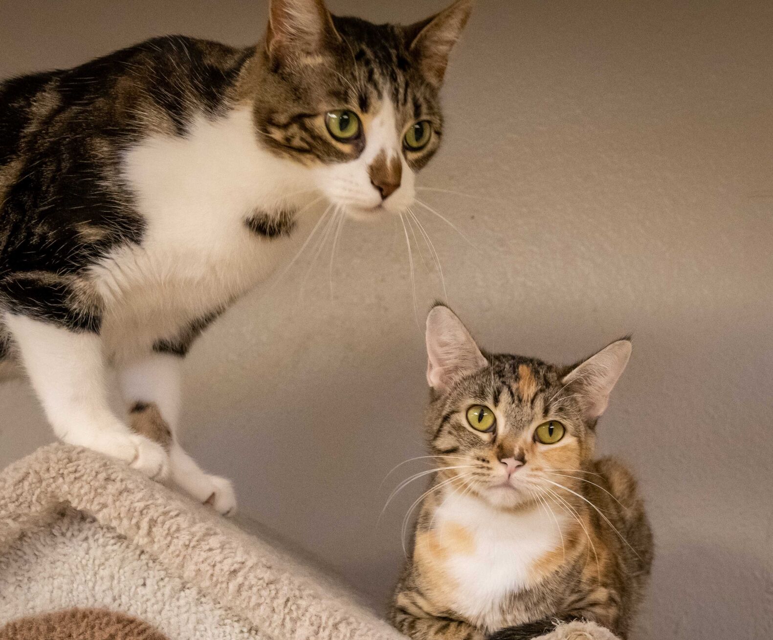 Sonny and Luna